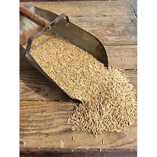 Ernst Grains Oats, 50 lb