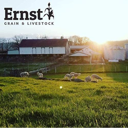 Ernst Grains Oats, 50 lb