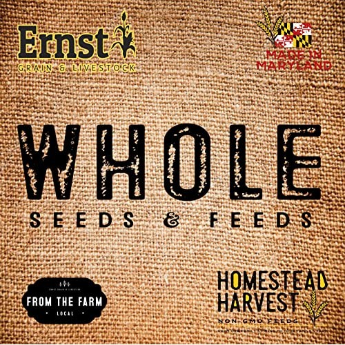 Ernst Grains Oats, 50 lb