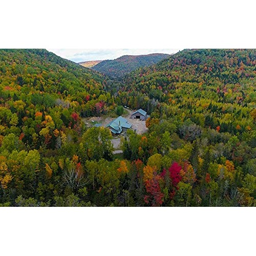 Award Winning Escuminac Late Harvest Canadian Maple Syrup. Famil