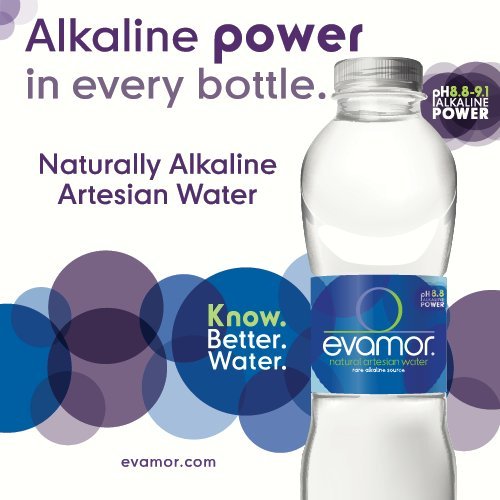 Evamor Natural Alkaline Artesian Water-20 Fl Oz Pack Of 12 -Al