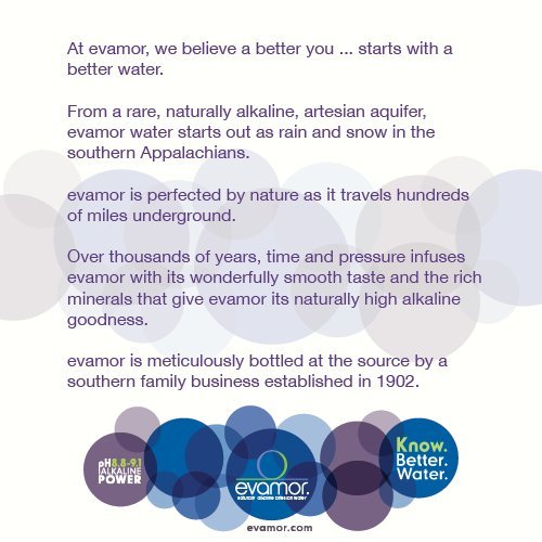 Evamor Natural Alkaline Artesian Water-20 Fl Oz Pack Of 12 -Al