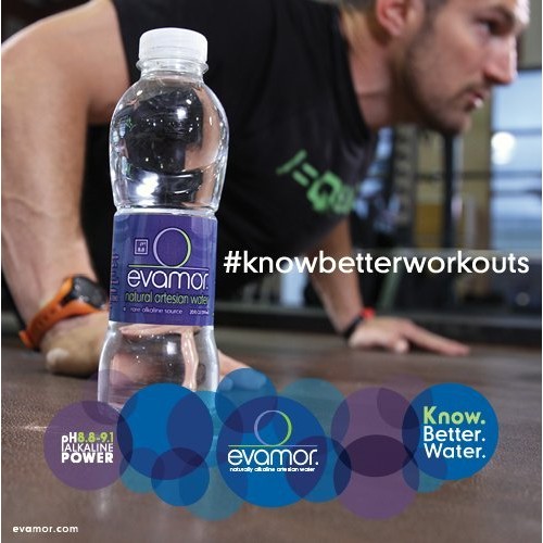 Evamor Natural Alkaline Artesian Water-20 Fl Oz Pack Of 12 -Al