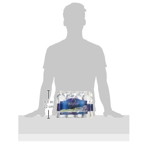 Evamor Natural Alkaline Artesian Water-20 Fl Oz Pack Of 12 -Al
