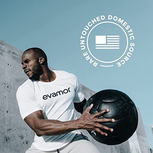 Evamor Natural Alkaline Artesian Water, 32-oz Bottles Pack of 6