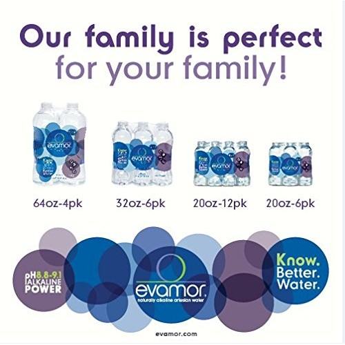 Evamor Natural Alkaline Artesian Water-Alkaline Natural Artesian