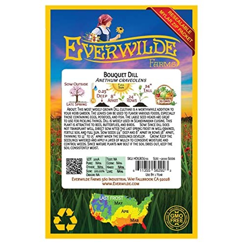 Everwilde Farms - 2000 Bouquet Dill Herb Seeds - Gold Vault Jumb...