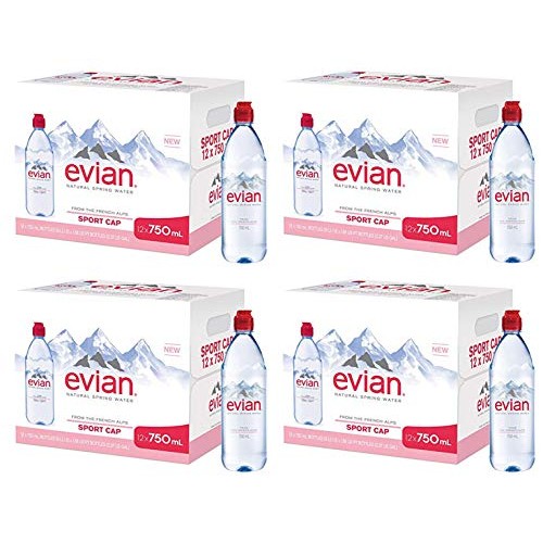Evian Ghdf Natural Spring Water Individual 750 Ml 25.4 Oz. Bot