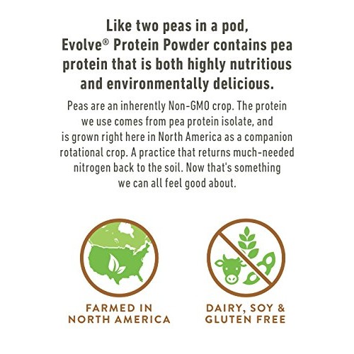 Evolve Plant Based Protein Powder, Double Chocolate, 20G Vegan P