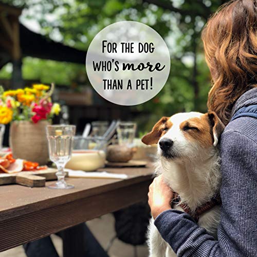 Exclusively Dog Sandwich Cremes Peanut Butter &Amp; Carob Flavor, Br