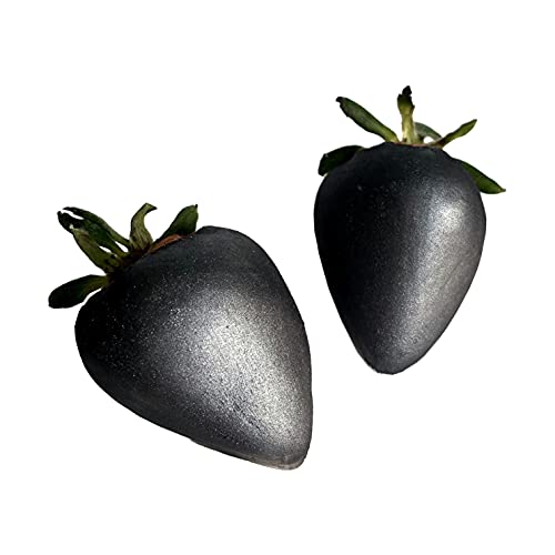 Edible Luster Dust, Dusting Powder For Cake Decoration,Metallic