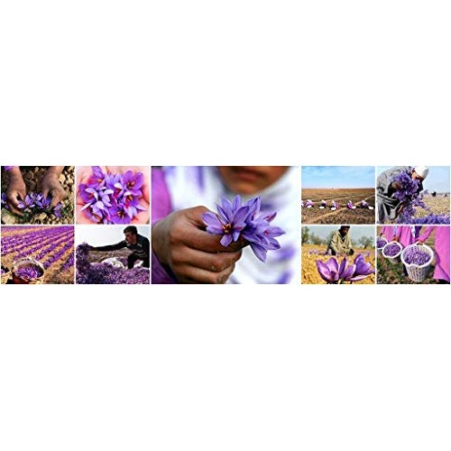 Saffron, All Red Super Negin Grade A+ Premium Quality Spice For