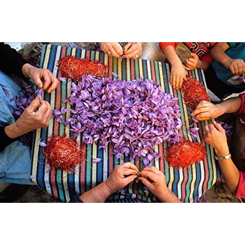 Saffron, All Red Super Negin Grade A+ Premium Quality Spice For