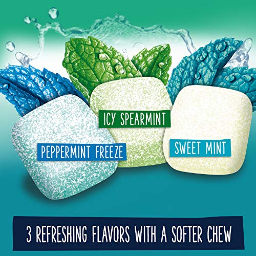 EXTRA Refreshers Mint Mix Gum, 3.21-Ounce 40-Piece Bottle Pack ...