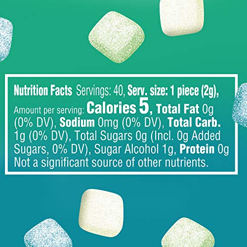 EXTRA Refreshers Mint Mix Gum, 3.21-Ounce 40-Piece Bottle Pack ...
