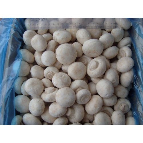 Mushrooms Whole Fresh Produce Fruit Vegetables 16 Oz
