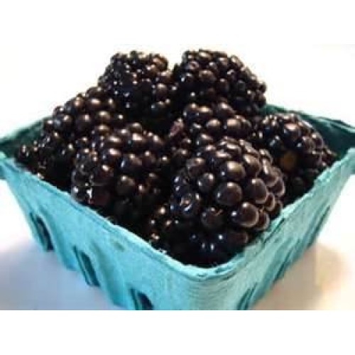 Blackberries Fresh Produce Fruit Vegetables 6 Oz