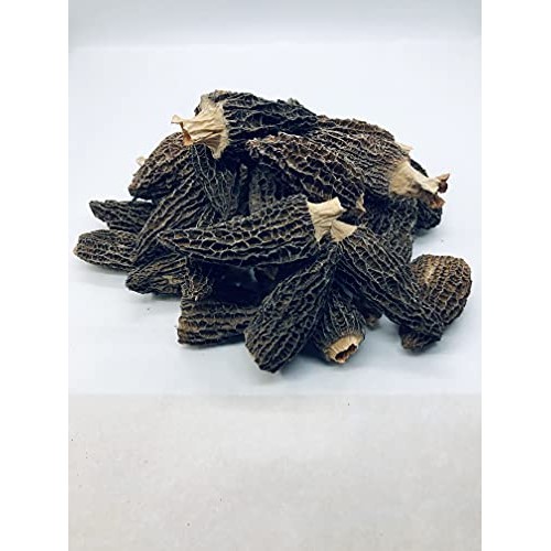 Selected Dried Morel Mushrooms Morchella Conica 羊肚菌干蘑菇