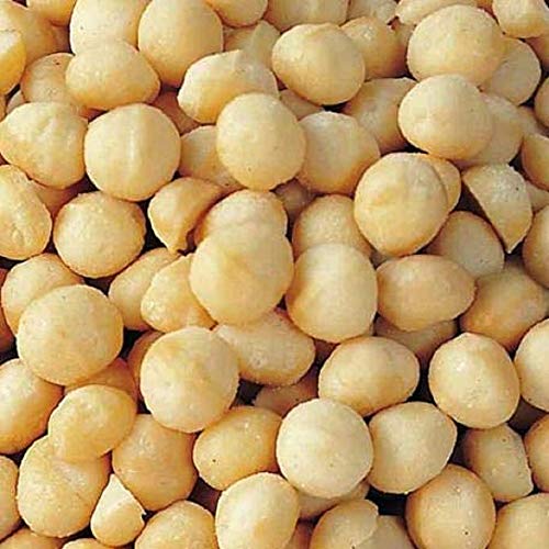 Dry Roasted Macadamia Nuts With Sea Salt 1 Lb - Oven Roasted T