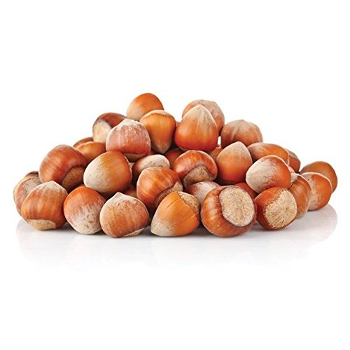 Natural In Shell Filberts/Hazelnuts -Large!! Fresh New Crop !! B