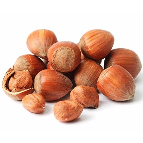 Natural In Shell Filberts/Hazelnuts -Large!! Fresh New Crop !! B