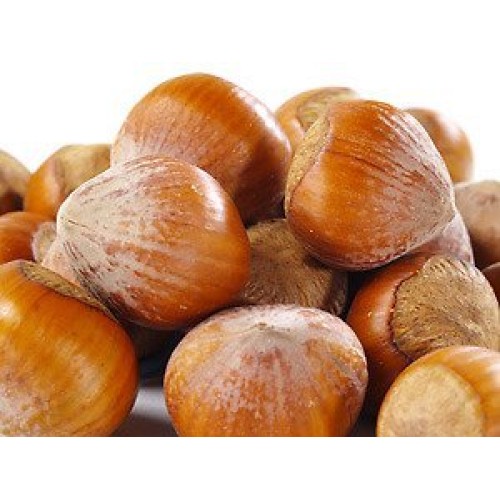 Natural In Shell Filberts/Hazelnuts -Large!! Fresh New Crop !! B