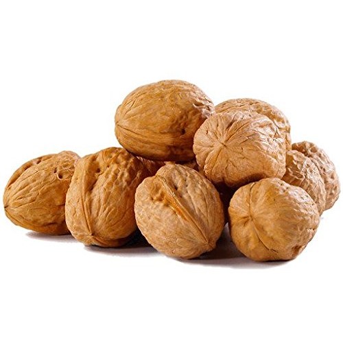 Walnuts In Shell- Jumbo Natural California Walnuts- Great Source