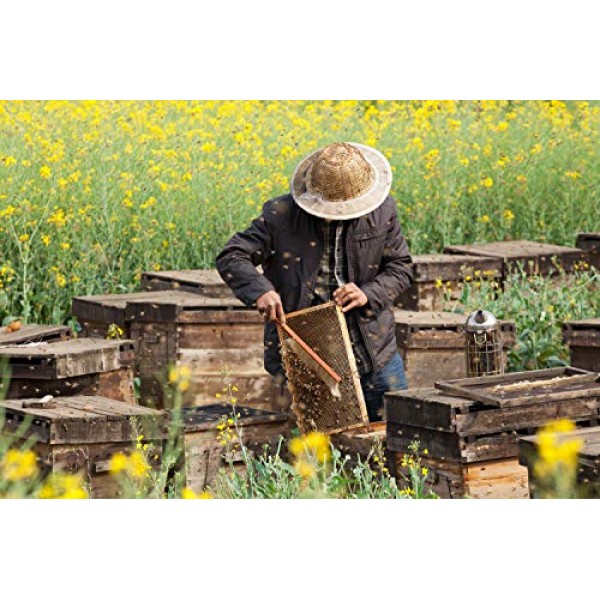 Farmhouse Honey Sticks, All Natural Real American Honey Stix, Ea...