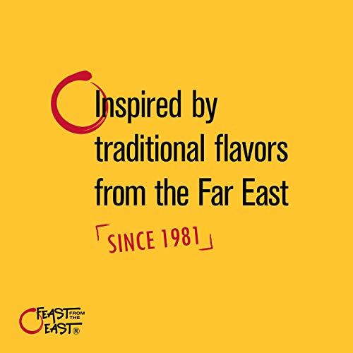 Feast From The East Asian Salad Toppings - Wonton Strips - All-N