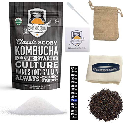 1-Gallon Kombucha Brewing Starter Kit | Usda Organic Kombucha Sc