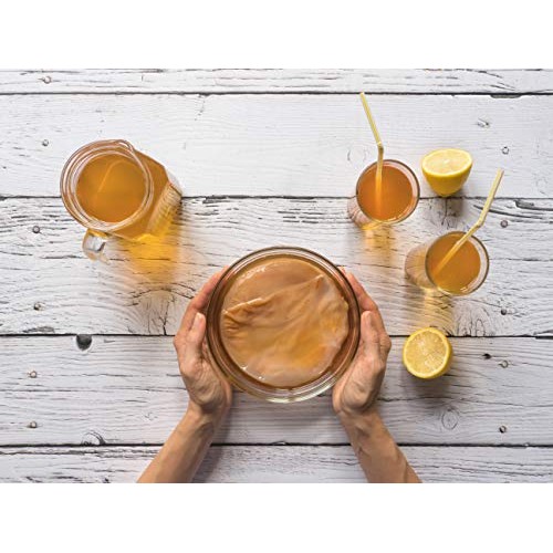 1 Gallon Jun Kombucha Starter Kit - Includes Usda Organic Jun Sc