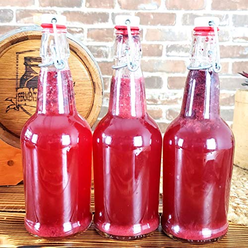 1 Gallon Jun Kombucha Starter Kit - Includes Usda Organic Jun Sc