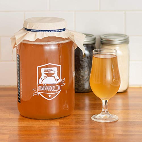 Fermentaholics Big Momma Kombucha Scoby With Twelve Ounces Of St
