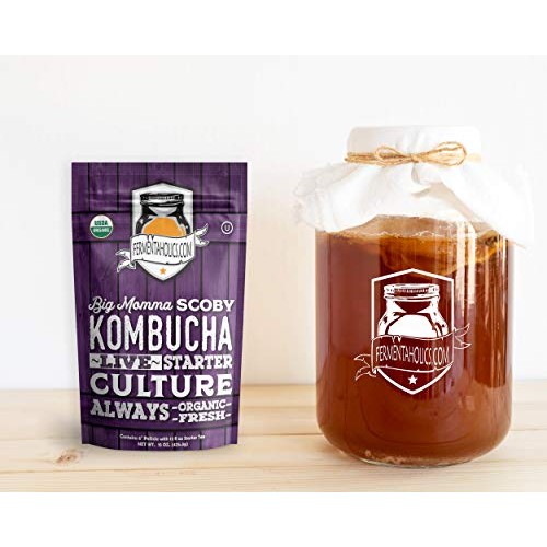 Fermentaholics Big Momma Kombucha Scoby With Twelve Ounces Of St
