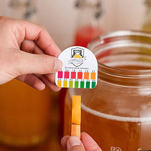 Fermentaholics Big Momma Kombucha Scoby With Twelve Ounces Of St