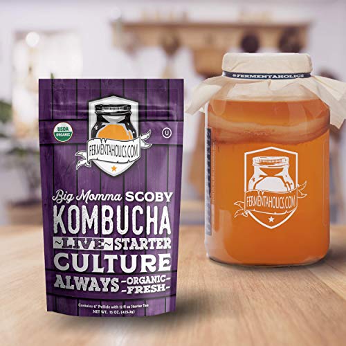 Fermentaholics Big Momma Kombucha Scoby With Twelve Ounces Of St