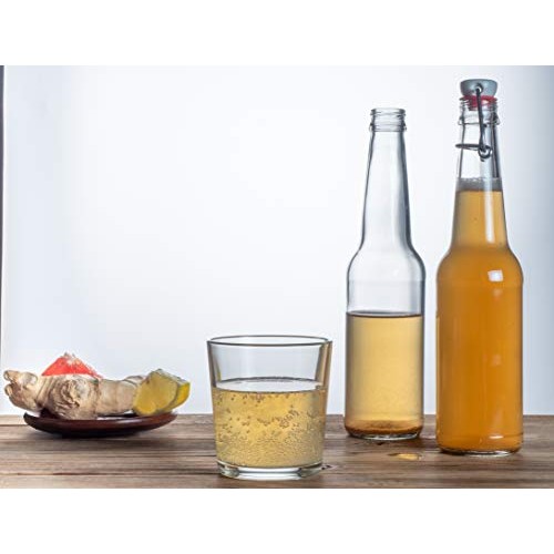 Fermentaholics Big Momma Kombucha Scoby With Twelve Ounces Of St