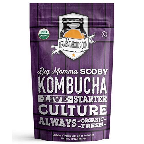 Fermentaholics Big Momma Kombucha Scoby With Twelve Ounces Of St