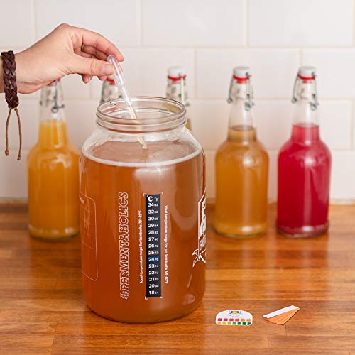Fermentaholics - Element Kombucha Tea Blends Water Kombucha Tea