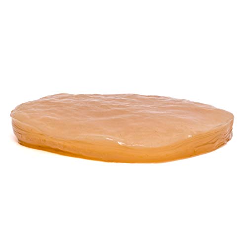 Fermentaholics Organic Kombucha Scoby With Twelve Ounces Of Star