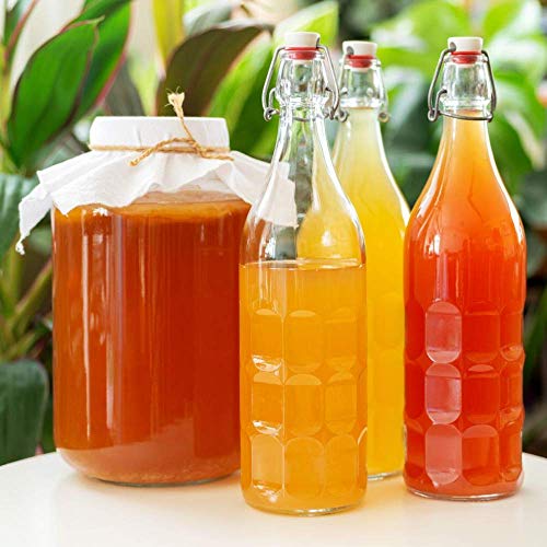 Fermentaholics Organic Kombucha Scoby With Twelve Ounces Of Star