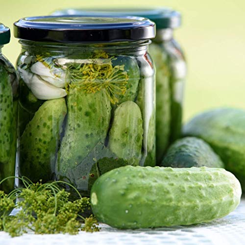 Fermentaholics Pickling Spice | The Perfect Pickle Blend | Perfe