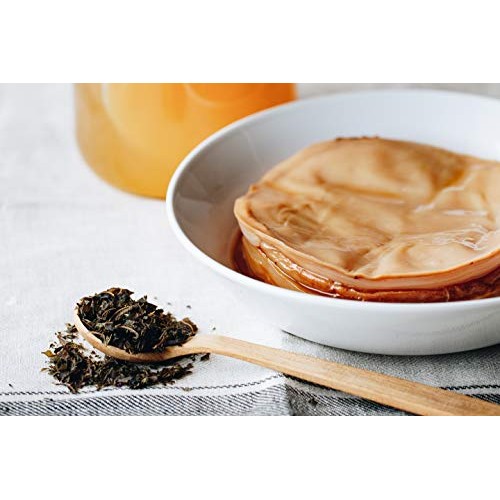 Fermentaholics Usda Certified Organic Kombucha Tea Blend 8 Oz |