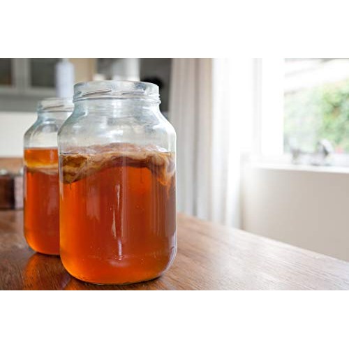 Fermentaholics Usda Certified Organic Kombucha Tea Blend 8 Oz |