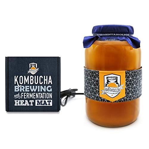 The Complete Kombucha Brewing Starter Kit | Fermentaholics Usda