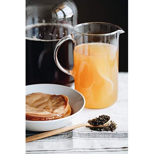 The Complete Kombucha Brewing Starter Kit | Fermentaholics Usda