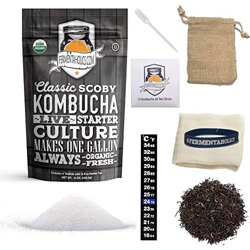 The Complete Kombucha Brewing Starter Kit | Fermentaholics Usda