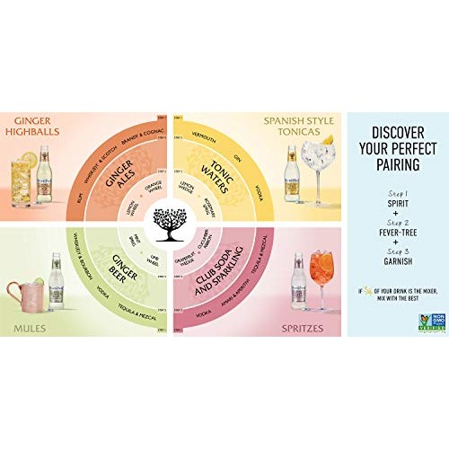 Fever-Tree Premium Ginger Ale Cans, No Artificial Sweeteners, Fl