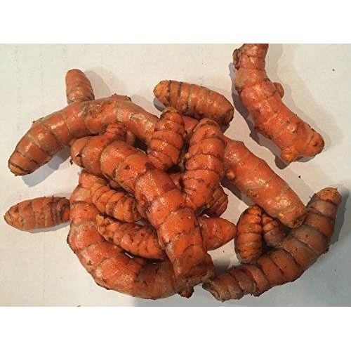 Turmeric Roots: Fresh Whole Organic Raw - 4 Lb. Lots Premium Qua