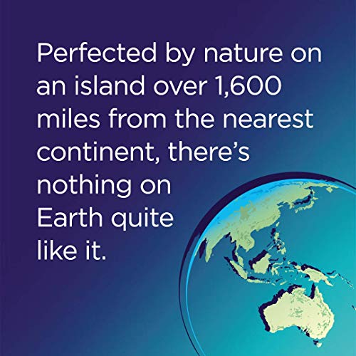 Fiji Natural Artesian Water, 16.9 Fl Ounce Bottle Pack Of 24